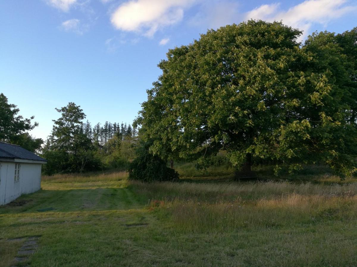 Haervejsly - Perfekt Familiebase Til Oplevelse Af Sydjylland Villa Give Екстериор снимка