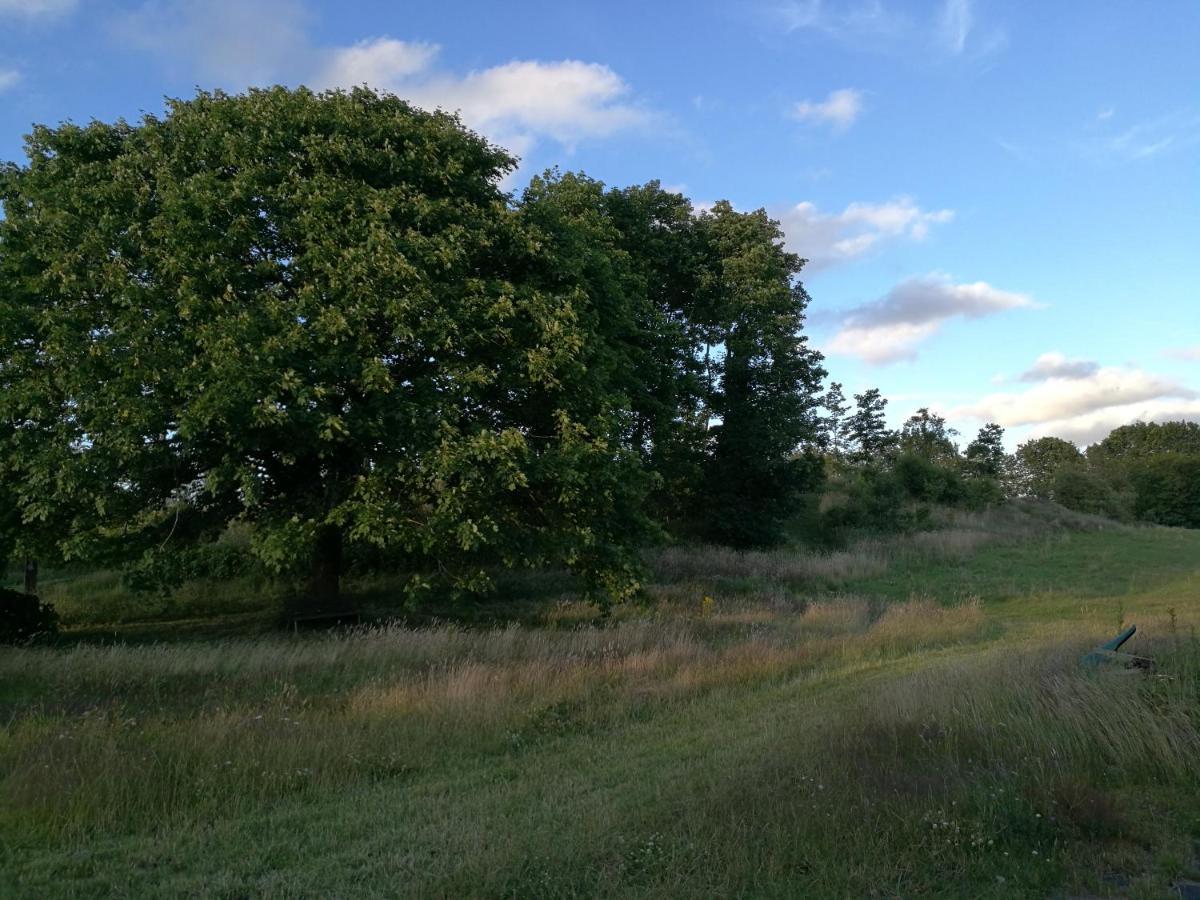 Haervejsly - Perfekt Familiebase Til Oplevelse Af Sydjylland Villa Give Екстериор снимка
