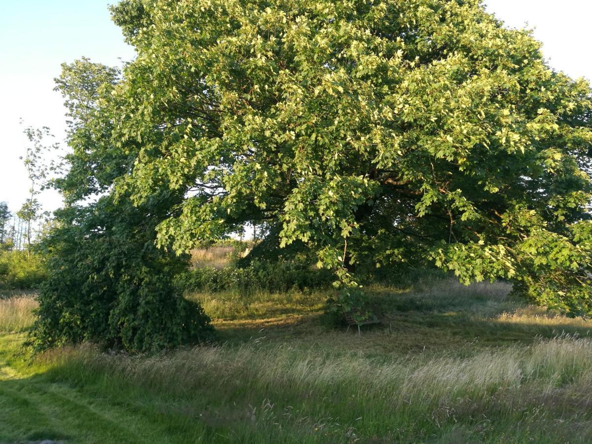 Haervejsly - Perfekt Familiebase Til Oplevelse Af Sydjylland Villa Give Екстериор снимка